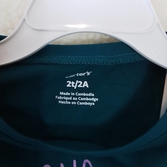 Carter's Kid Long Sleeve Cotton T-Shirt Girl's Size 2T Teal w/ Diversity Theme - Picture 8 of 9